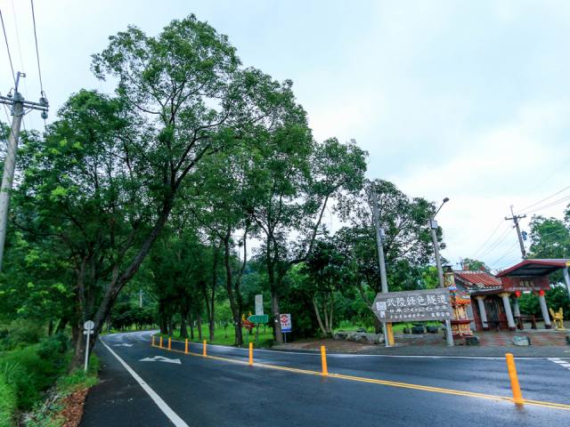 武陵綠色隧道：入口的路牌